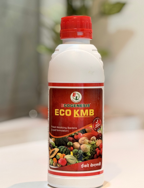 Eco KMB Potash Mobilizing Bacteria